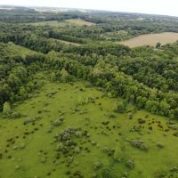 27.5 Acres Union County Indiana images 3