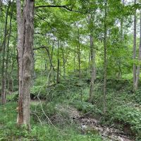 27.5 Acres Union County Indiana images 4