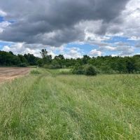 27.5 Acres Union County Indiana images 5