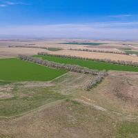 Heigel Hunt 106 images 4