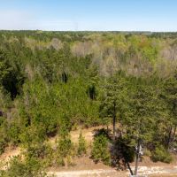 6.5 - Acres Auburn AL images 3