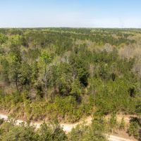 6.5 - Acres Auburn AL images 4