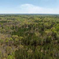 6.5 - Acres Auburn AL images 5