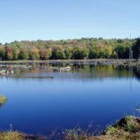 Happy Valley WMA – Waterfowl hunting 8,898 acres land in Williamstown, NY