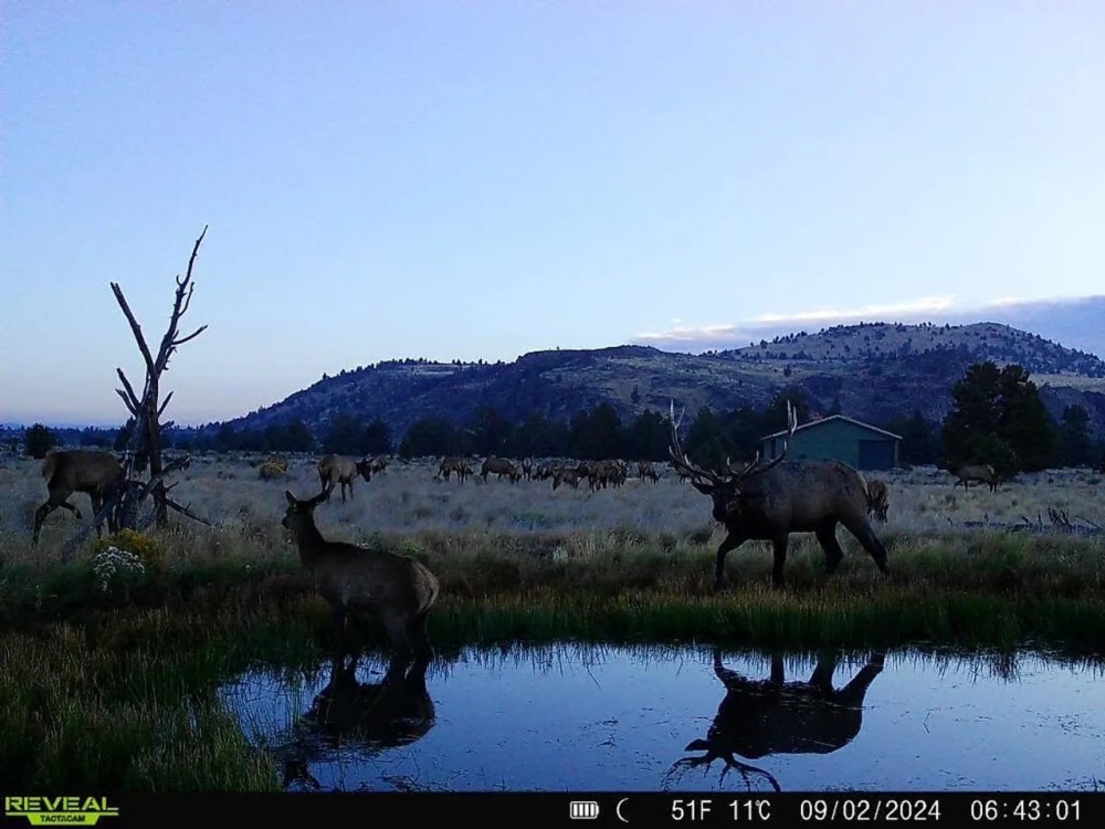 Cougar Mountain Ranch - Picturesque Hunting Ranch For Sale featured image