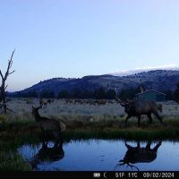 Cougar Mountain Ranch - Picturesque Hunting Ranch For Sale