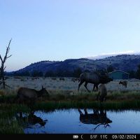 Cougar Mountain Ranch - Picturesque Hunting Ranch For Sale images 2