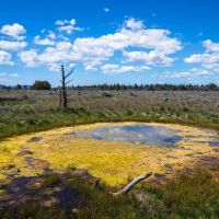 Cougar Mountain Ranch - Picturesque Hunting Ranch For Sale images 5