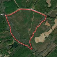 149.82 acres of Planted Timberland For Sale in Warren County NC