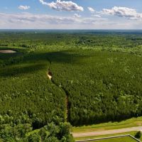 149.82 acres of Planted Timberland For Sale in Warren County NC images 2