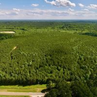 149.82 acres of Planted Timberland For Sale in Warren County NC images 3