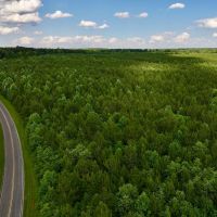 149.82 acres of Planted Timberland For Sale in Warren County NC images 5