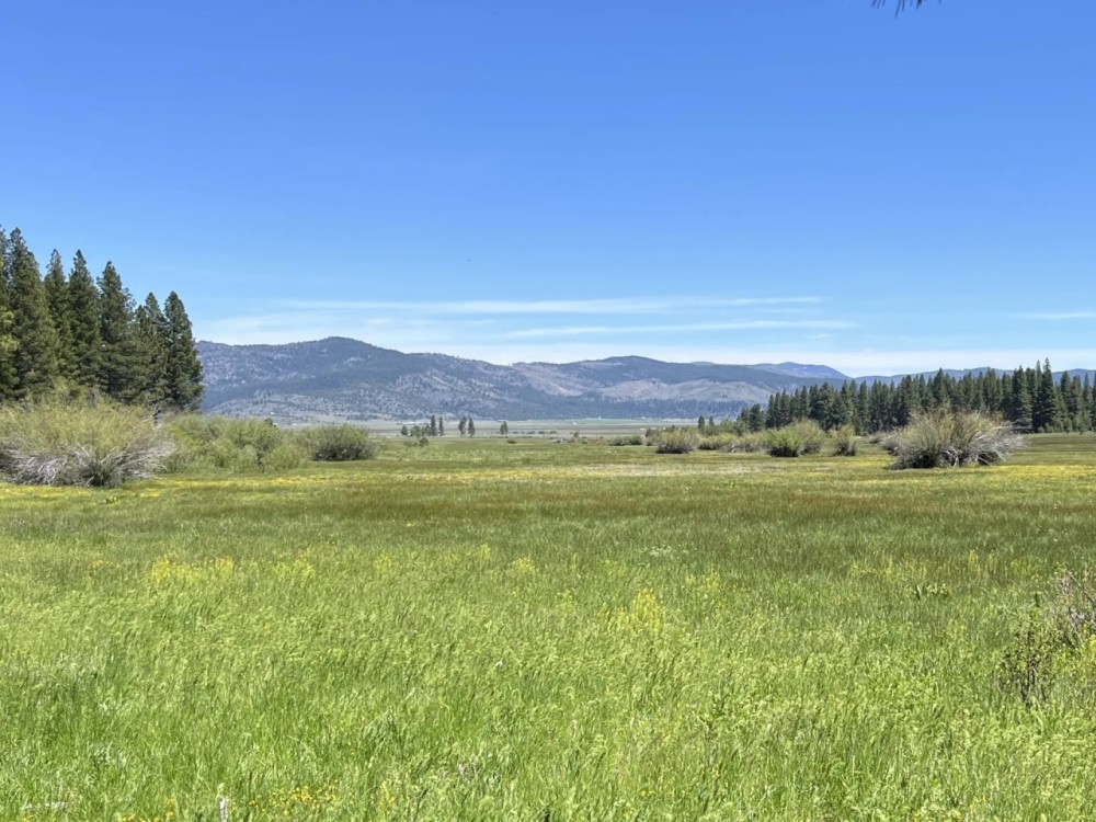 Meadow Ranch featured image