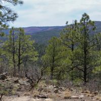 Montezuma Outlook 163 acre images 2