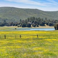 Corta Madera Ranch Estate images 4