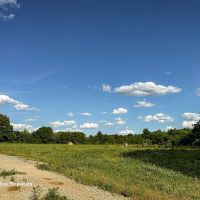 Rowan County Land for Sale with Creek and Homesite images 5