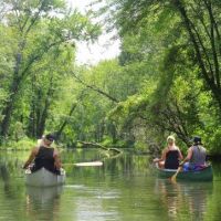 Owasco Flats WMA – 54 acres small games property at Cayuga, NY