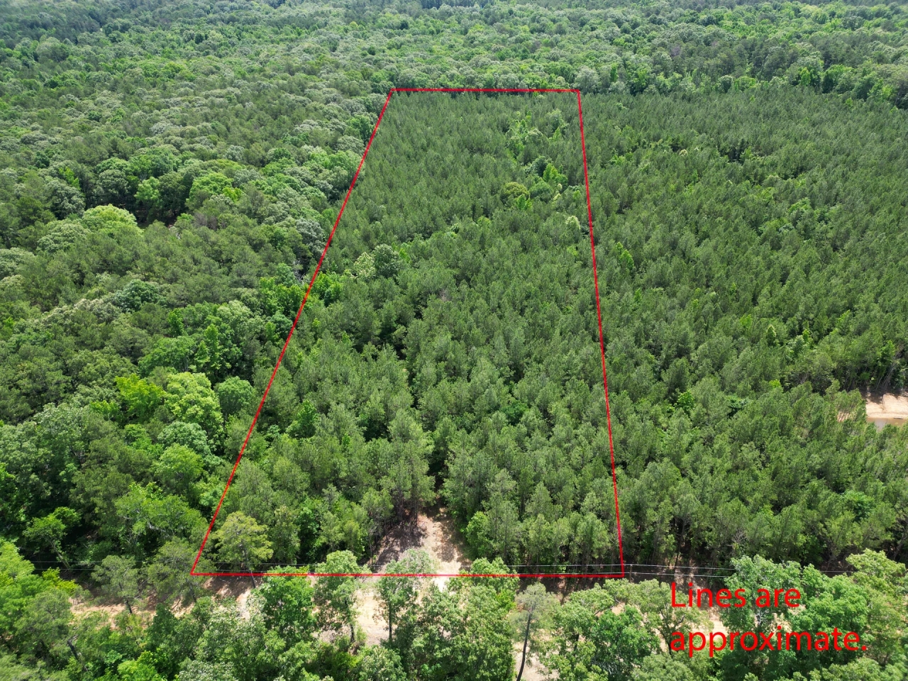 LA Caldwell 10 acres Hunting Land for Sale