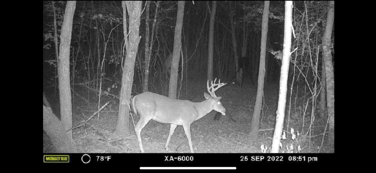 LA Caldwell 10 acres Hunting Land for Sale