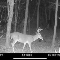 LA - Caldwell 10 acres - images 2