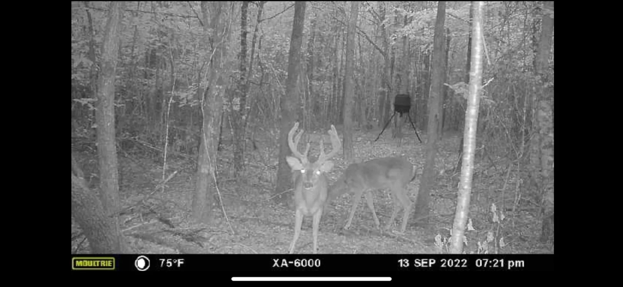 LA Caldwell 10 acres Hunting Land for Sale