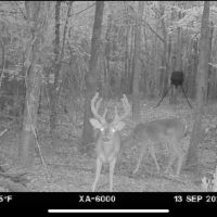 LA - Caldwell 10 acres - images 3