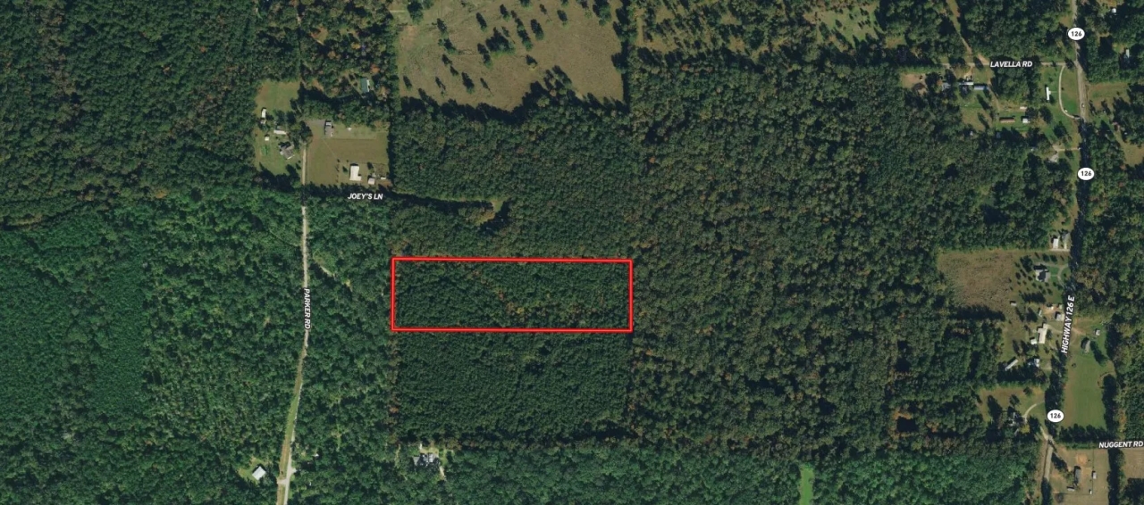 LA Caldwell 10 acres Hunting Land for Sale