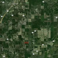 LA - Caldwell 10 acres - images 5