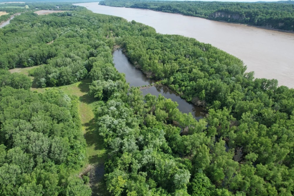 Hunting and recreational property along the banks of the Mississippi River featured image