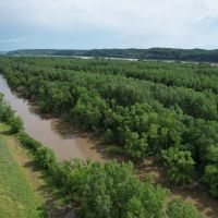 Hunting and recreational property along the banks of the Mississippi River images 2