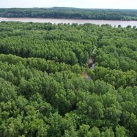 Hunting and recreational property along the banks of the Mississippi River images 3