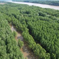 Hunting and recreational property along the banks of the Mississippi River images 4
