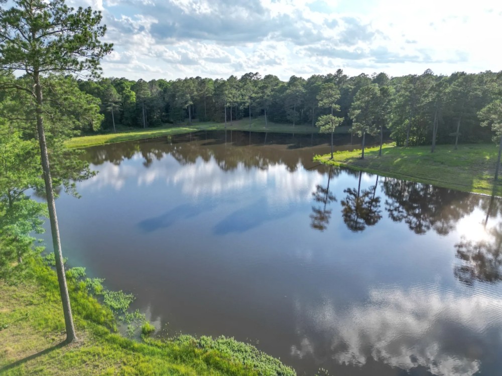 LA - Caldwell 77 acres - featured image