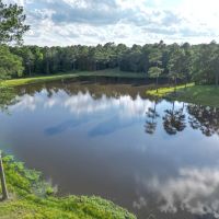 LA - Caldwell 77 acres -