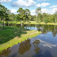 LA - Caldwell 77 acres - images 4