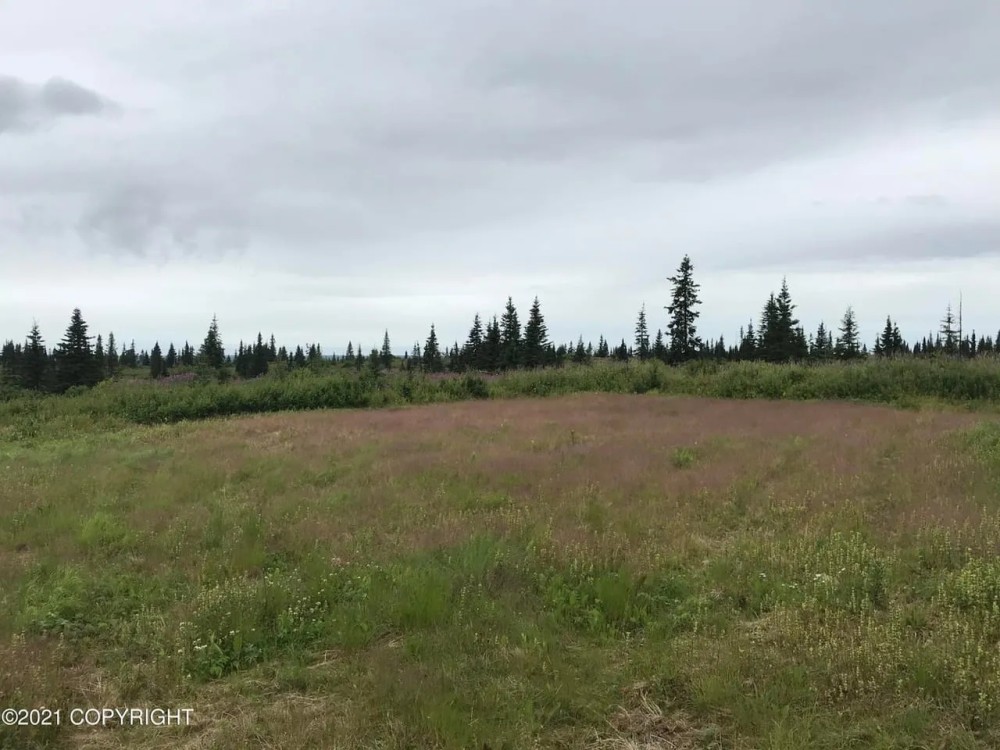 Off grid with view and access featured image