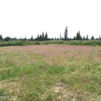 Off grid with view and access images 3