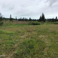 Off grid with view and access images 4
