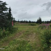 Off grid with view and access images 5