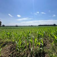 1 336 acre - Perry County Farm