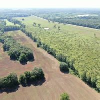 1 336 acre - Perry County Farm images 2
