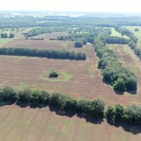 1 336 acre - Perry County Farm images 3