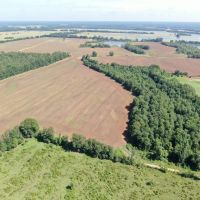 1 336 acre - Perry County Farm images 5