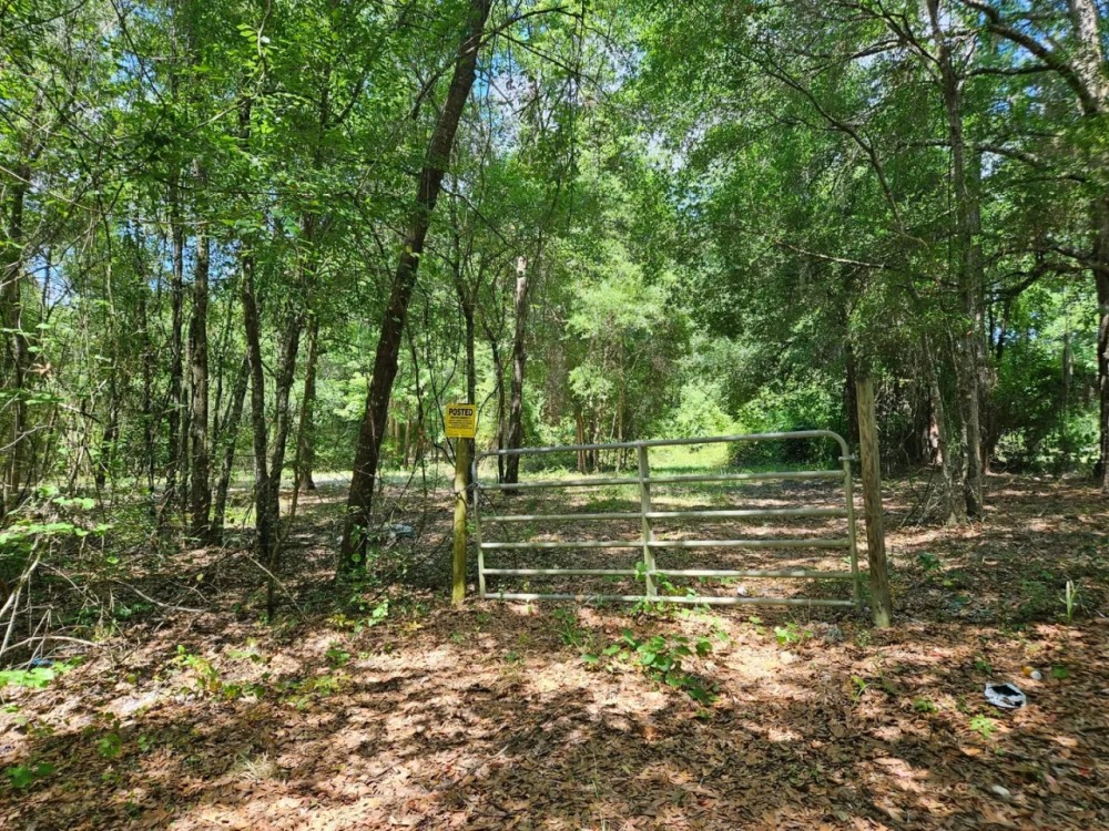 Hawthorne 40 Acres featured image