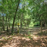 Hawthorne 40 Acres