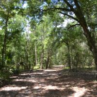 Hawthorne 40 Acres images 3