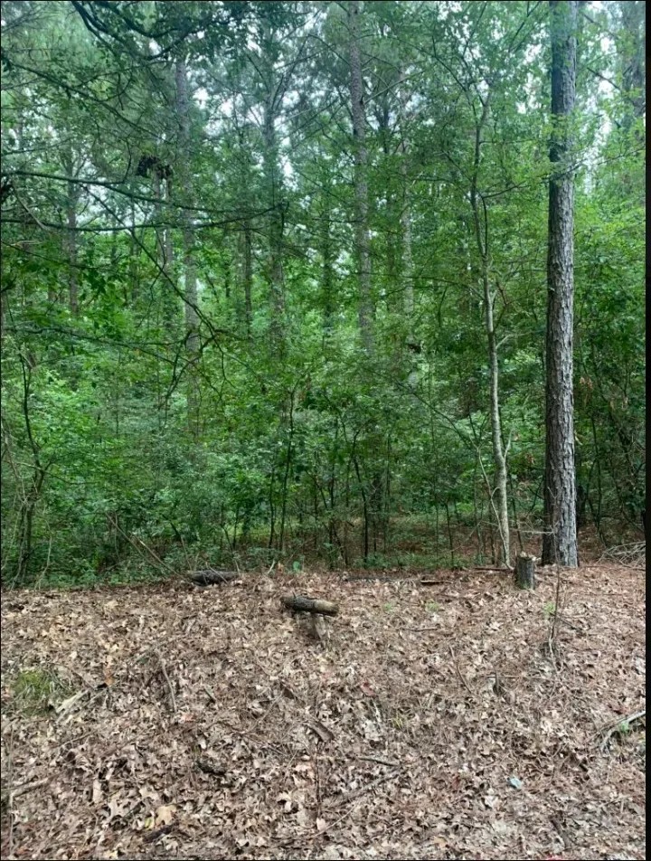 AR - Chicot 188 acres - featured image