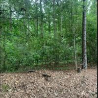 AR - Chicot 188 acres -