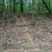 AR - Chicot 188 acres - images 2