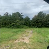 AR - Chicot 188 acres - images 3